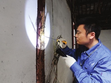 南海治白蟻 新建房屋白蟻怎么來(lái)的