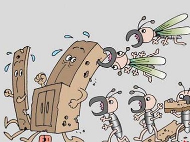 禪城房屋白蟻預(yù)防站對付白蟻有什么預(yù)防措施