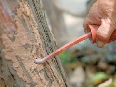 禪城滅治白蟻機構(gòu)為什么白蟻防治工作要定期檢查
