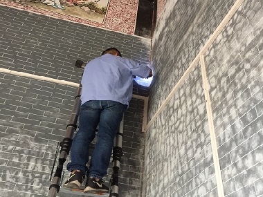 三水白蟻驗收站怎么預(yù)防白蟻和消滅白蟻
