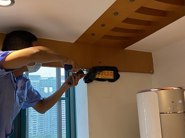 三水白蟻防治機構(gòu)家庭滅白蟻的實用方法